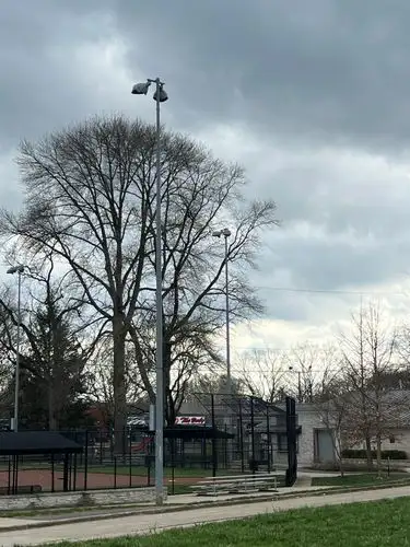 Stillness in the park on a cloudy day.